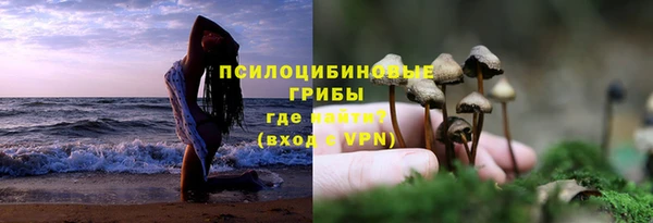 эйфоретик Нефтегорск