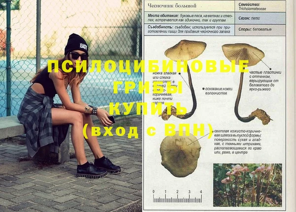эйфоретик Нефтегорск